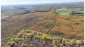 40ACRES MOL Dicus Road Grant, WI 54848 by Cotter Realty Llc $80,000