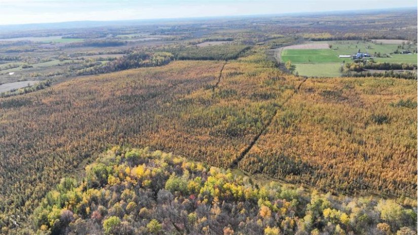 40ACRES MOL Dicus Road Grant, WI 54848 by Cotter Realty Llc $80,000