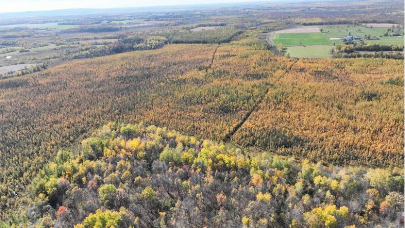 40ACRES MOL Dicus Road Grant, WI 54848 by Cotter Realty Llc $80,000