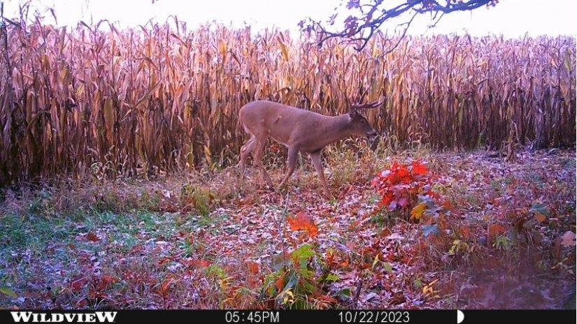 147+/-ACRES Happersett Lane Marion, WI 54970 by United Country Midwest Lifestyle Properties $1,323,000