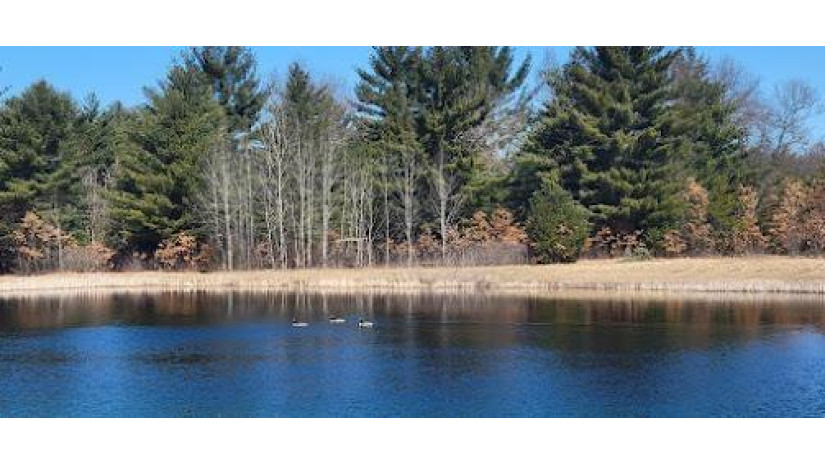 LOT 55 19th Creek Strongs Prairie, WI 54613 by Home Connection Realty - Pref: 608-516-6746 $499,750