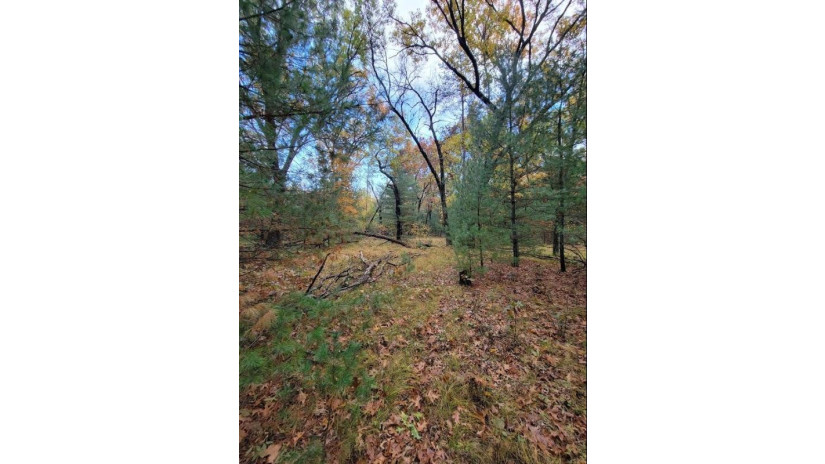 LOT 55 19th Creek Strongs Prairie, WI 54613 by Home Connection Realty - Pref: 608-516-6746 $499,750