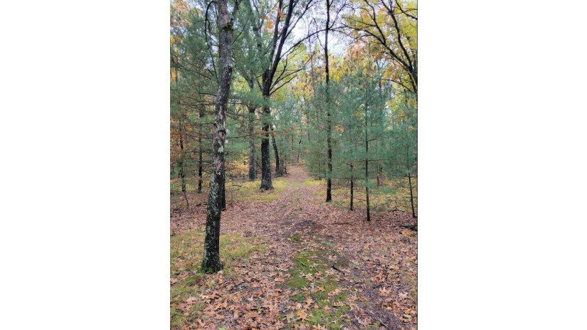 LOT 55 19th Creek Strongs Prairie, WI 54613 by Home Connection Realty - Pref: 608-516-6746 $499,750