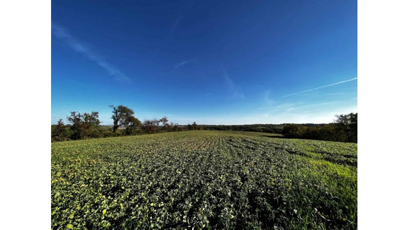 31.5 AC. Highway 39 New Glarus, WI 53574 by First Weber Hedeman Group - Off: 608-325-2000 $599,000