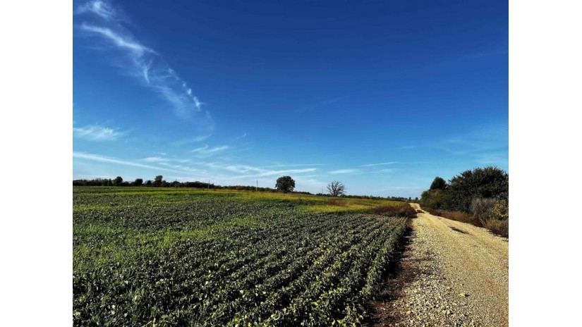 31.5 AC. Highway 39 New Glarus, WI 53574 by First Weber Hedeman Group - Off: 608-325-2000 $599,000