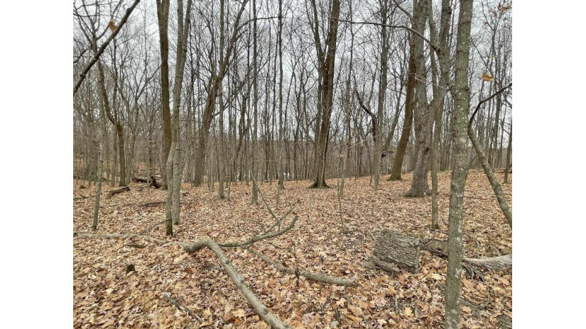 L150 Black Forest Pine Cone Lane Woodland, WI 53941 by Re/Max Preferred - Julie@JulieSells.com $9,000