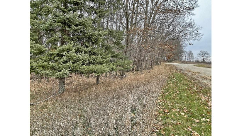 L150 Black Forest Pine Cone Lane Woodland, WI 53941 by Re/Max Preferred - Julie@JulieSells.com $9,000