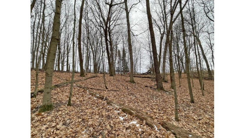 L150 Black Forest Pine Cone Lane Woodland, WI 53941 by Re/Max Preferred - Julie@JulieSells.com $9,000