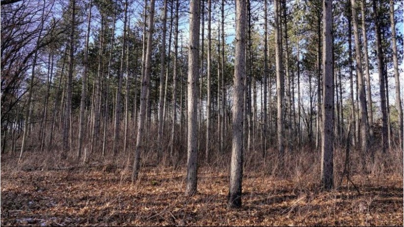 88.7+/- ACRES Highway 80 Lisbon, WI 53950 by Whitetail Dreams Real Estate $366,000