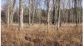 88.7+/- ACRES Highway 80 Lisbon, WI 53950 by Whitetail Dreams Real Estate $366,000