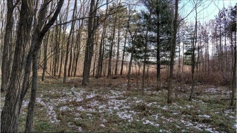 88.7+/- ACRES Highway 80 Lisbon, WI 53950 by Whitetail Dreams Real Estate $366,000