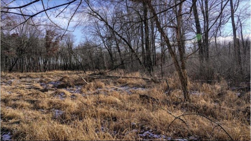 88.7+/- ACRES Highway 80 Lisbon, WI 53950 by Whitetail Dreams Real Estate $366,000