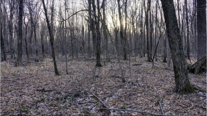 88.7+/- ACRES Highway 80 Lisbon, WI 53950 by Whitetail Dreams Real Estate $366,000