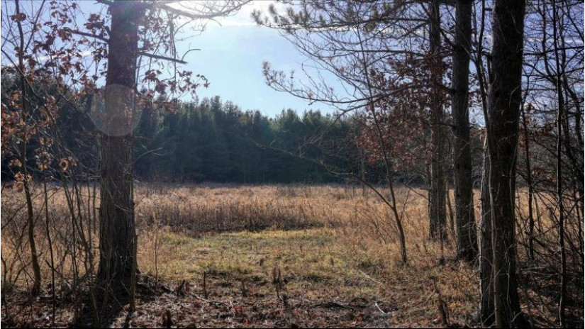 88.7+/- ACRES Highway 80 Lisbon, WI 53950 by Whitetail Dreams Real Estate $366,000