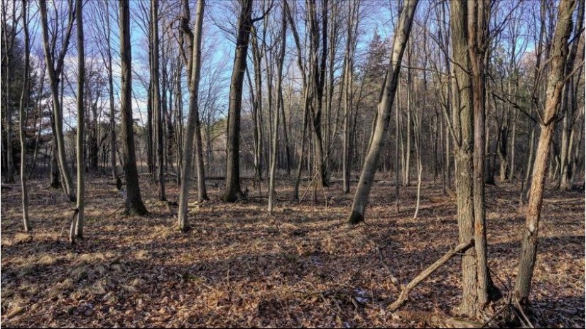 88.7+/- ACRES Highway 80 Lisbon, WI 53950 by Whitetail Dreams Real Estate $366,000