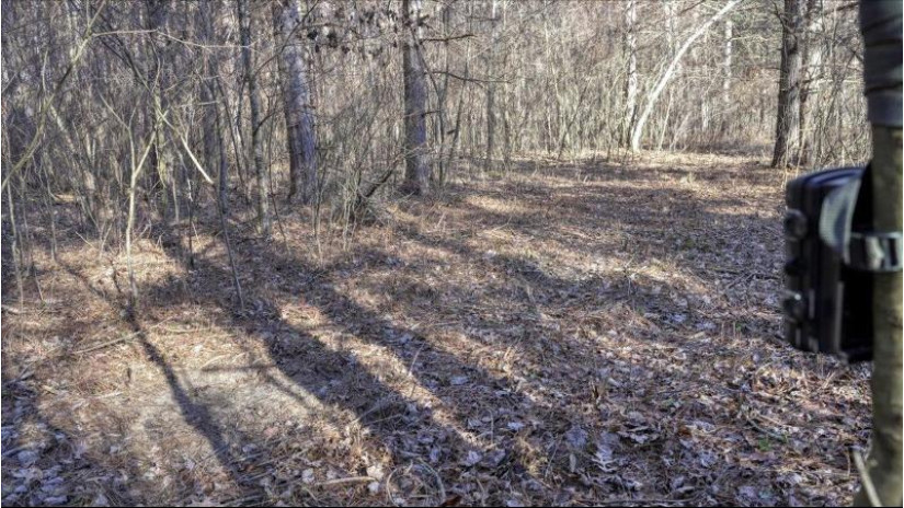 88.7+/- ACRES Highway 80 Lisbon, WI 53950 by Whitetail Dreams Real Estate $366,000