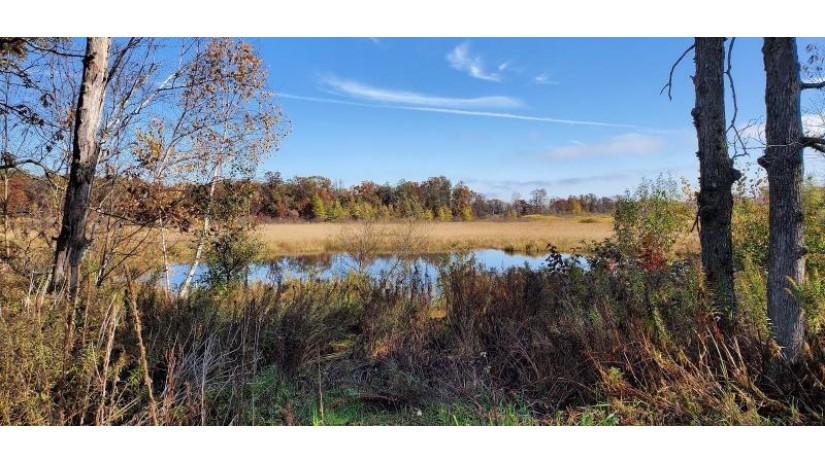 40 AC Cypress Avenue Richfield, WI 53934 by Landman Realty Llc $145,000