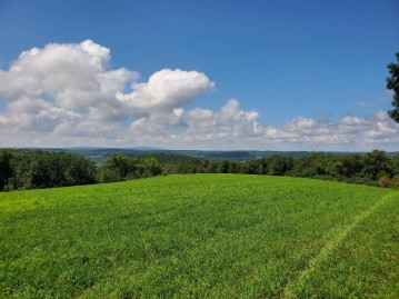 13.88 AC Blackberry Road, Black Earth, WI 53515