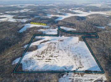 51.82 M/L ACRES Fesenfeld Road, Black Earth, WI 53515