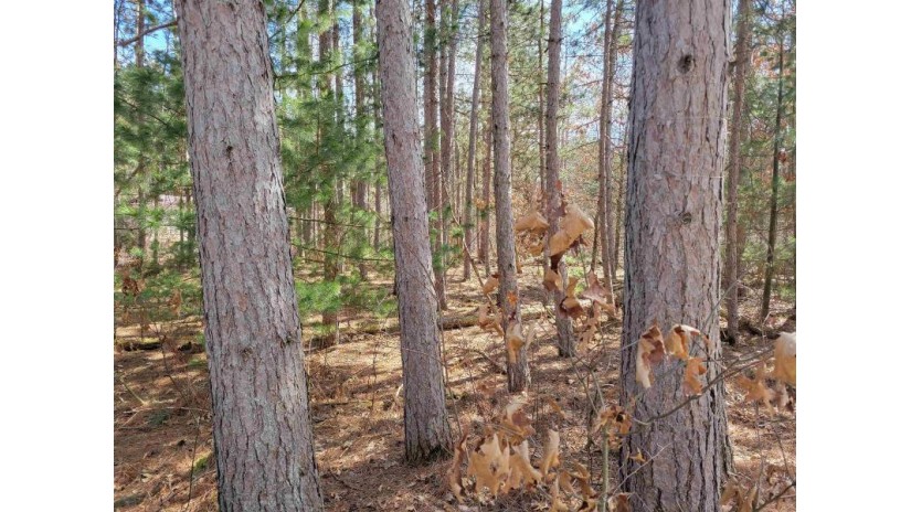 LOT 204 Raven Drive Germantown, WI 53950 by Castle Rock Realty Llc - Cell: 608-548-6900 $25,200