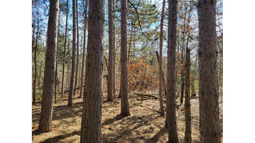 LOT 204 Raven Drive Germantown, WI 53950 by Castle Rock Realty Llc - Cell: 608-548-6900 $25,200