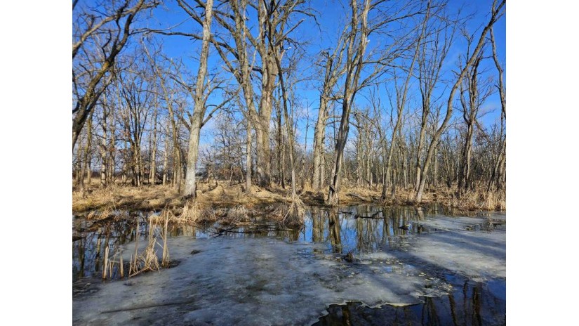 40.55AC Bark River Road Koshkonong, WI 53563 by Midwest Land Group Llc $172,360