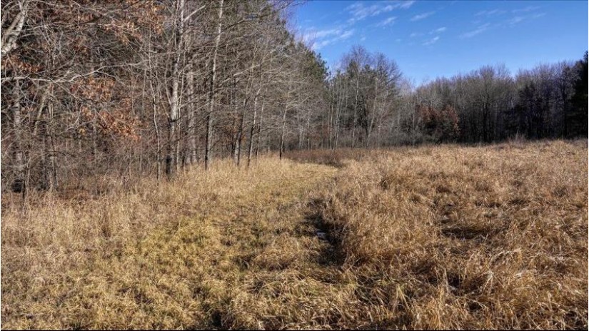 162+/- ACRES Germantown Road Lisbon, WI 53950 by Whitetail Dreams Real Estate $650,000