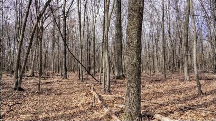 162+/- ACRES Germantown Road Lisbon, WI 53950 by Whitetail Dreams Real Estate $650,000