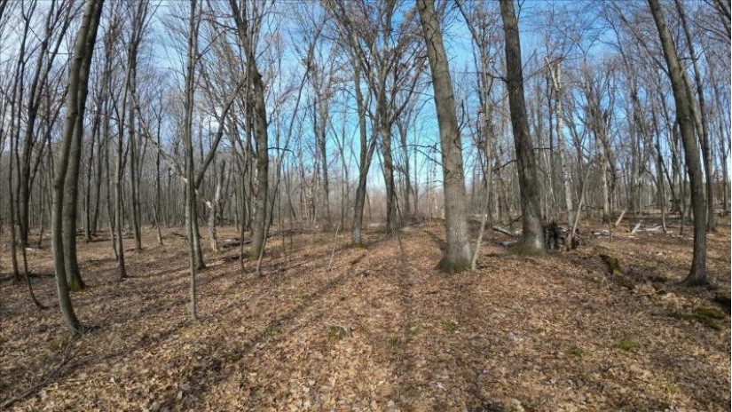 162+/- ACRES Germantown Road Lisbon, WI 53950 by Whitetail Dreams Real Estate $650,000