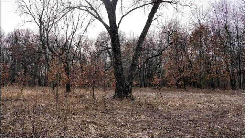 162+/- ACRES Germantown Road Lisbon, WI 53950 by Whitetail Dreams Real Estate $650,000