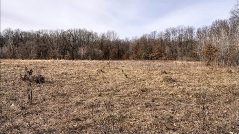 162+/- ACRES Germantown Road Lisbon, WI 53950 by Whitetail Dreams Real Estate $650,000
