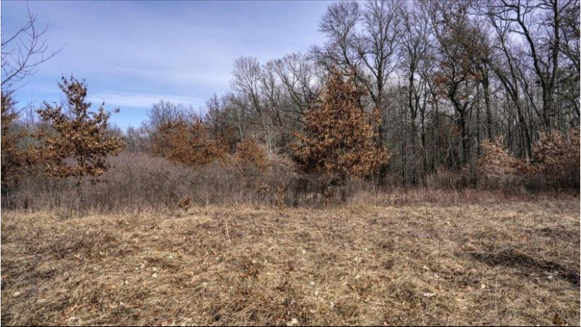 162+/- ACRES Germantown Road Lisbon, WI 53950 by Whitetail Dreams Real Estate $650,000