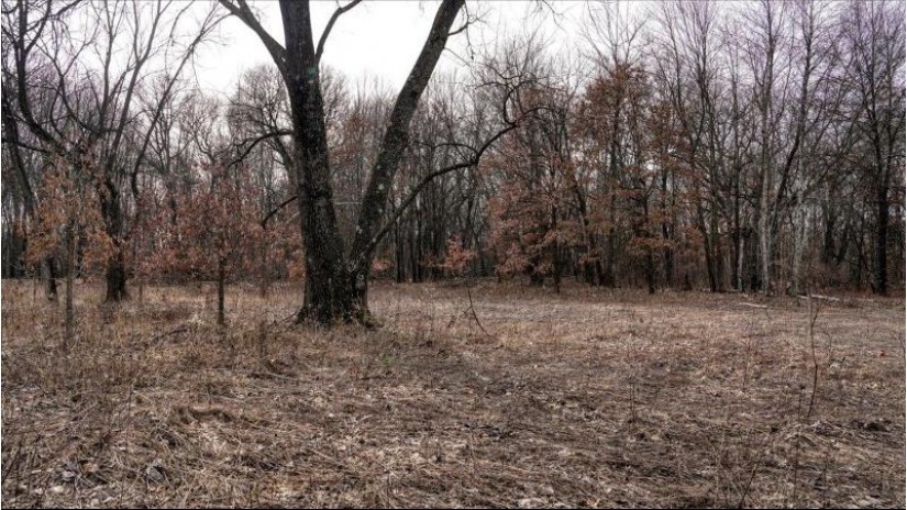 162+/- ACRES Germantown Road Lisbon, WI 53950 by Whitetail Dreams Real Estate $650,000