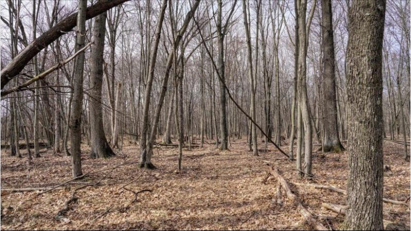 162+/- ACRES Germantown Road Lisbon, WI 53950 by Whitetail Dreams Real Estate $650,000