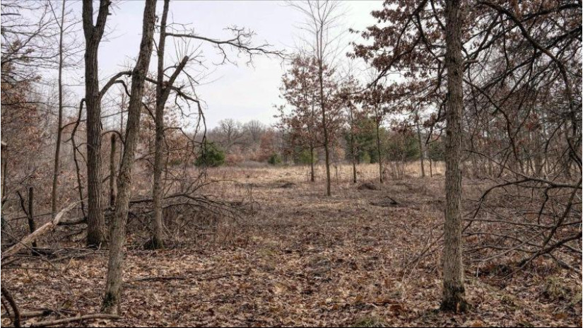 162+/- ACRES Germantown Road Lisbon, WI 53950 by Whitetail Dreams Real Estate $650,000