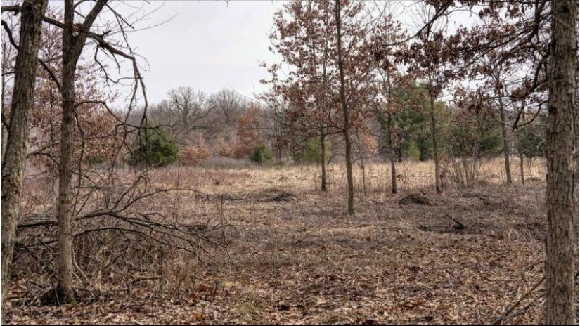 162+/- ACRES Germantown Road Lisbon, WI 53950 by Whitetail Dreams Real Estate $650,000