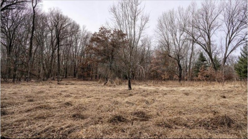 162+/- ACRES Germantown Road Lisbon, WI 53950 by Whitetail Dreams Real Estate $650,000