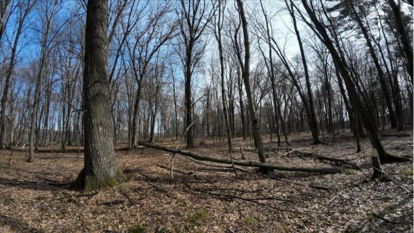 162+/- ACRES Germantown Road Lisbon, WI 53950 by Whitetail Dreams Real Estate $650,000