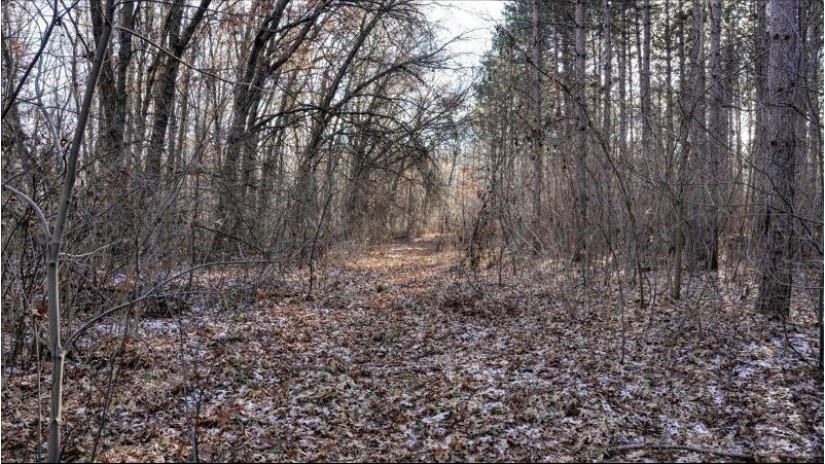 162+/- ACRES Germantown Road Lisbon, WI 53950 by Whitetail Dreams Real Estate $650,000