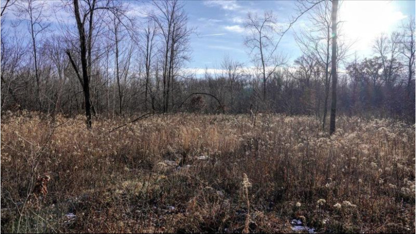 162+/- ACRES Germantown Road Lisbon, WI 53950 by Whitetail Dreams Real Estate $650,000