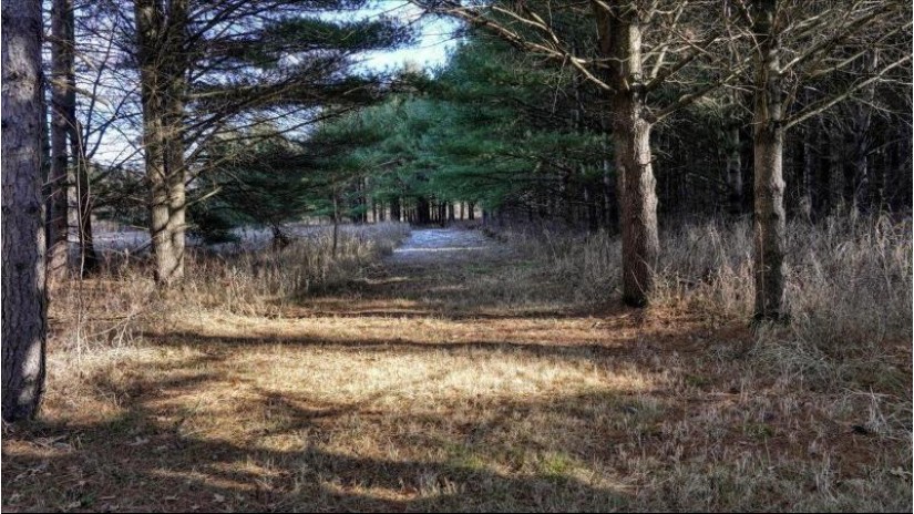 162+/- ACRES Germantown Road Lisbon, WI 53950 by Whitetail Dreams Real Estate $650,000