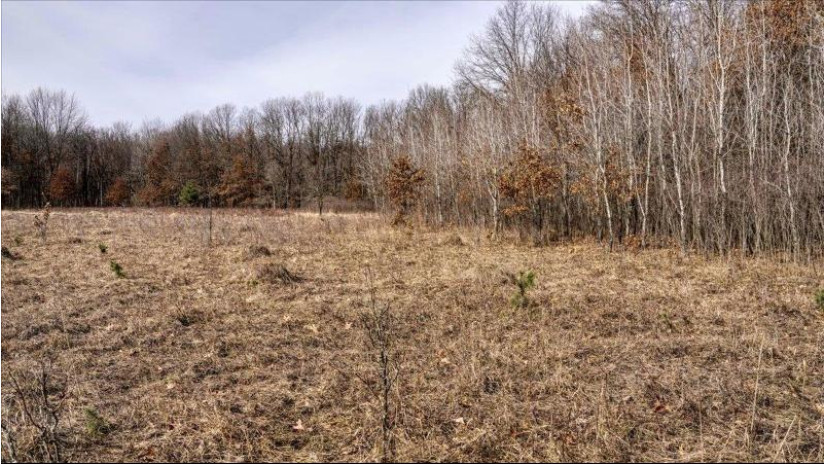 162+/- ACRES Germantown Road Lisbon, WI 53950 by Whitetail Dreams Real Estate $650,000