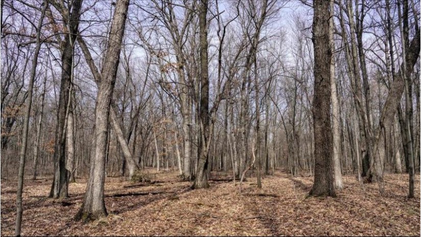 162+/- ACRES Germantown Road Lisbon, WI 53950 by Whitetail Dreams Real Estate $650,000