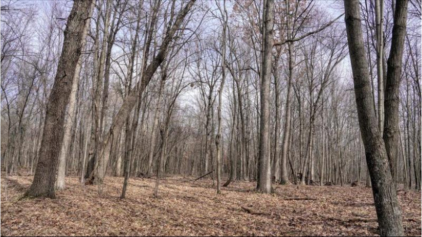 73+/- ACRES Germantown Road Lisbon, WI 53950 by Whitetail Dreams Real Estate $309,000