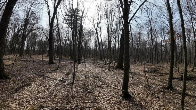 73+/- ACRES Germantown Road Lisbon, WI 53950 by Whitetail Dreams Real Estate $309,000