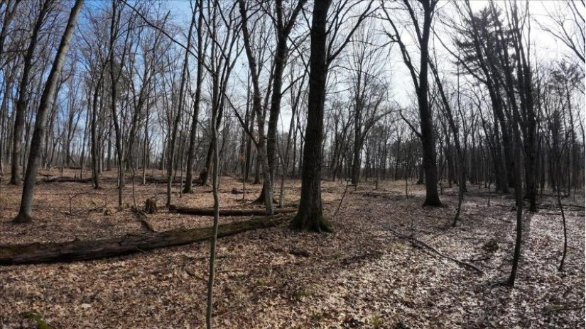 73+/- ACRES Germantown Road Lisbon, WI 53950 by Whitetail Dreams Real Estate $309,000