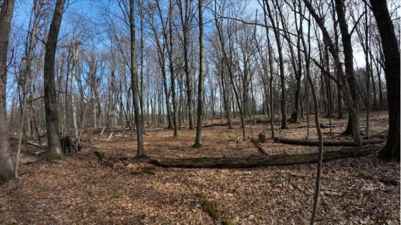 73+/- ACRES Germantown Road Lisbon, WI 53950 by Whitetail Dreams Real Estate $309,000