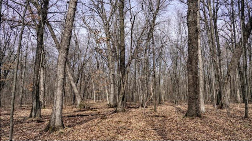 73+/- ACRES Germantown Road Lisbon, WI 53950 by Whitetail Dreams Real Estate $309,000