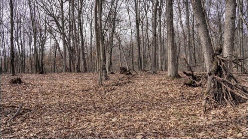 73+/- ACRES Germantown Road Lisbon, WI 53950 by Whitetail Dreams Real Estate $309,000