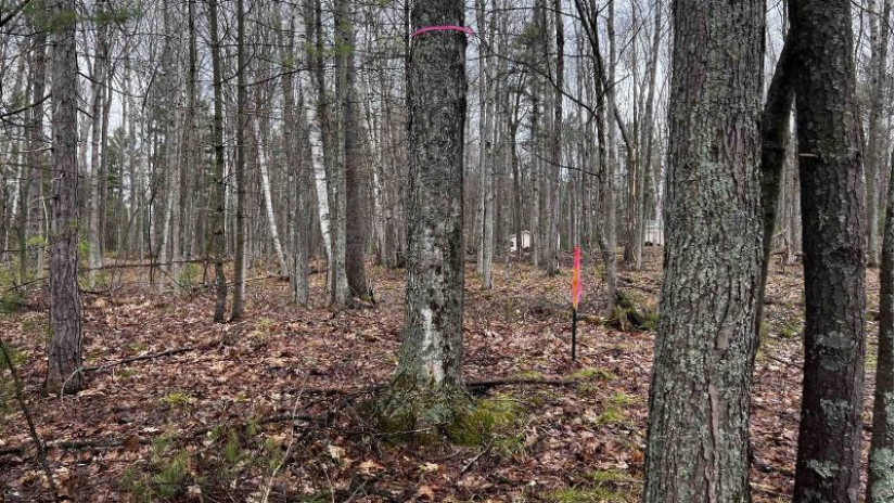 LOT 23 Menominee Shores Drive Wagner, WI 54177 by Cotter Realty Llc $59,900